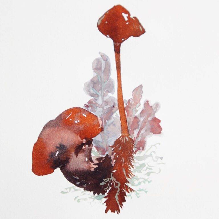 799024c7 2656 496c b0d7 67f75e8edb23